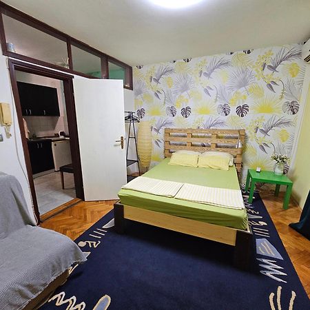 노비사드 Apartman Yellow House 아파트 외부 사진